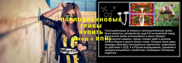 ПСИЛОЦИБИНОВЫЕ ГРИБЫ Аркадак