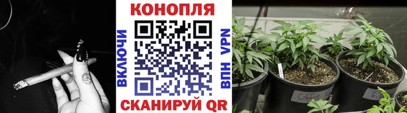 Каннабис SATIVA & INDICA  блэк спрут ссылка  Приморско-Ахтарск 